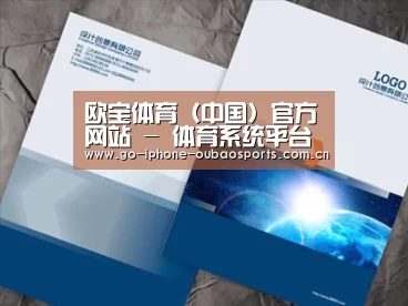 项目名称十