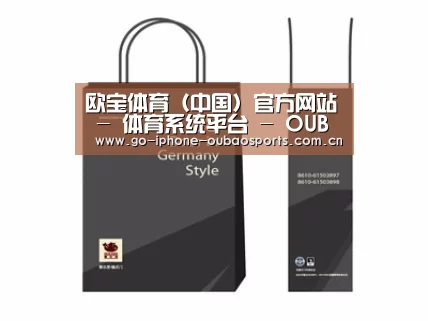 项目名称十四