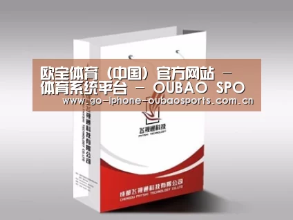 项目名称十三