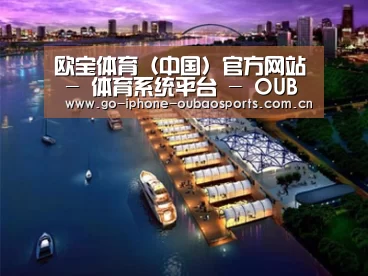 案例展示八