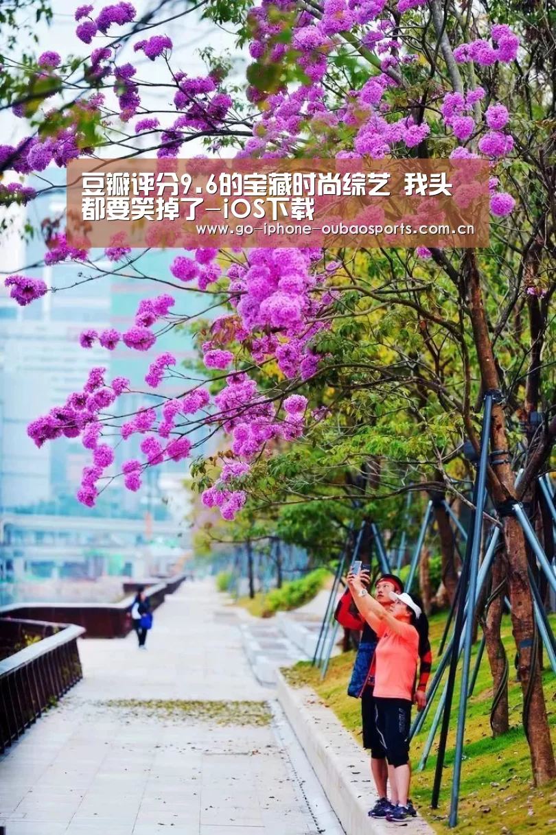 APP下载