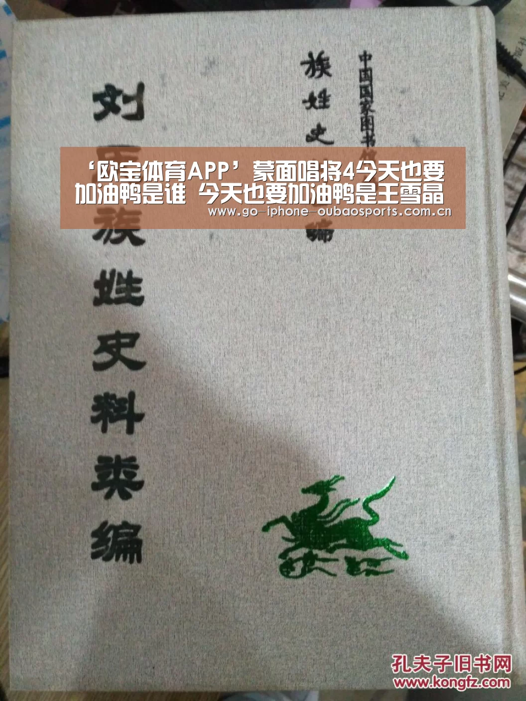 ‘欧宝体育APP’蒙面唱将4今天也要加油鸭是谁 今天也要加油鸭是王雪晶吗(图2) 欧宝体育APP