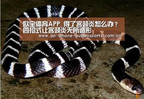 iOS下载