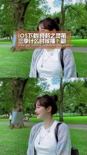 iOS下载