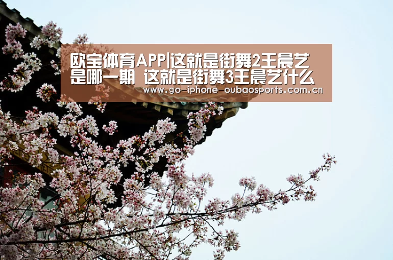 欧宝体育APP|这就是街舞2王晨艺是哪一期 这就是街舞3王晨艺什么时候播(图1) 官方应用