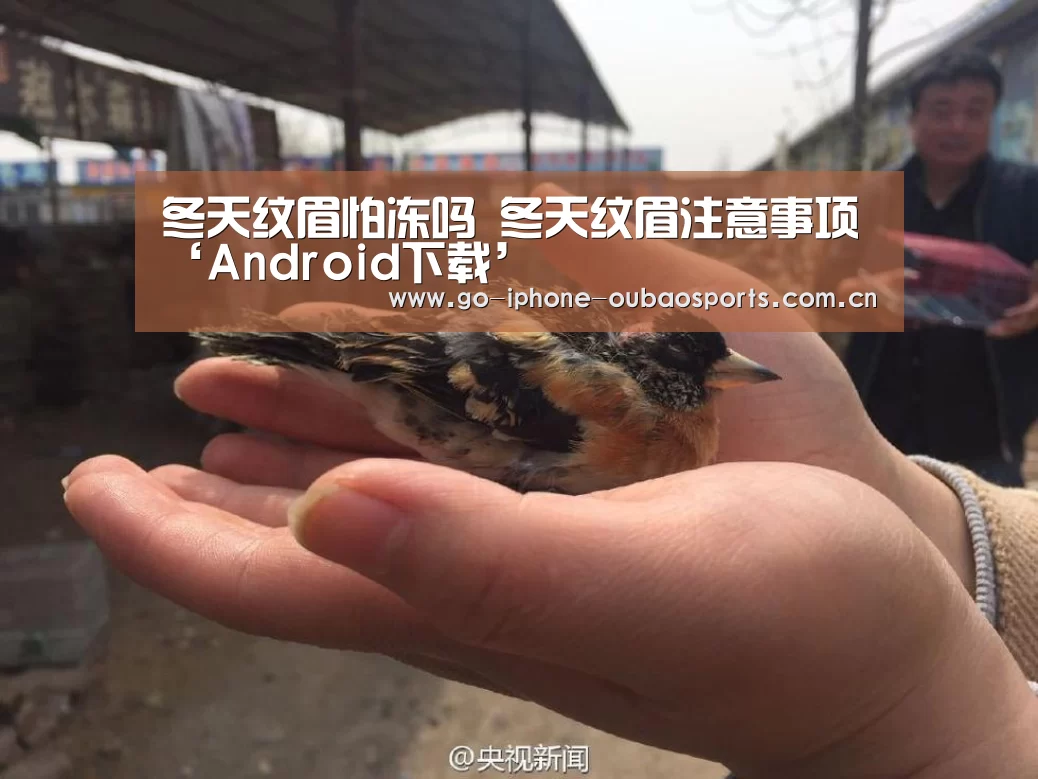 冬天纹眉怕冻吗 冬天纹眉注意事项‘Android下载’(图1) iOS下载