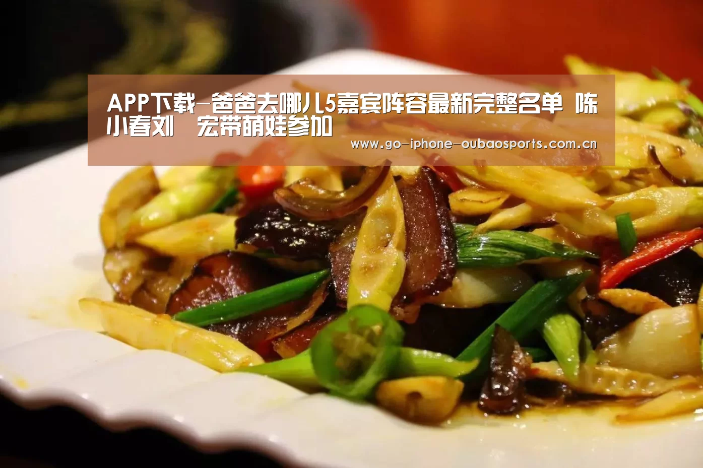 APP下载-爸爸去哪儿5嘉宾阵容最新完整名单 陈小春刘畊宏带萌娃参加(图2) Android下载