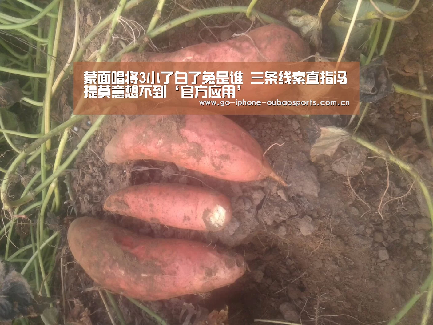 蒙面唱将3小了白了兔是谁 三条线索直指冯提莫意想不到‘官方应用’(图2) Android下载
