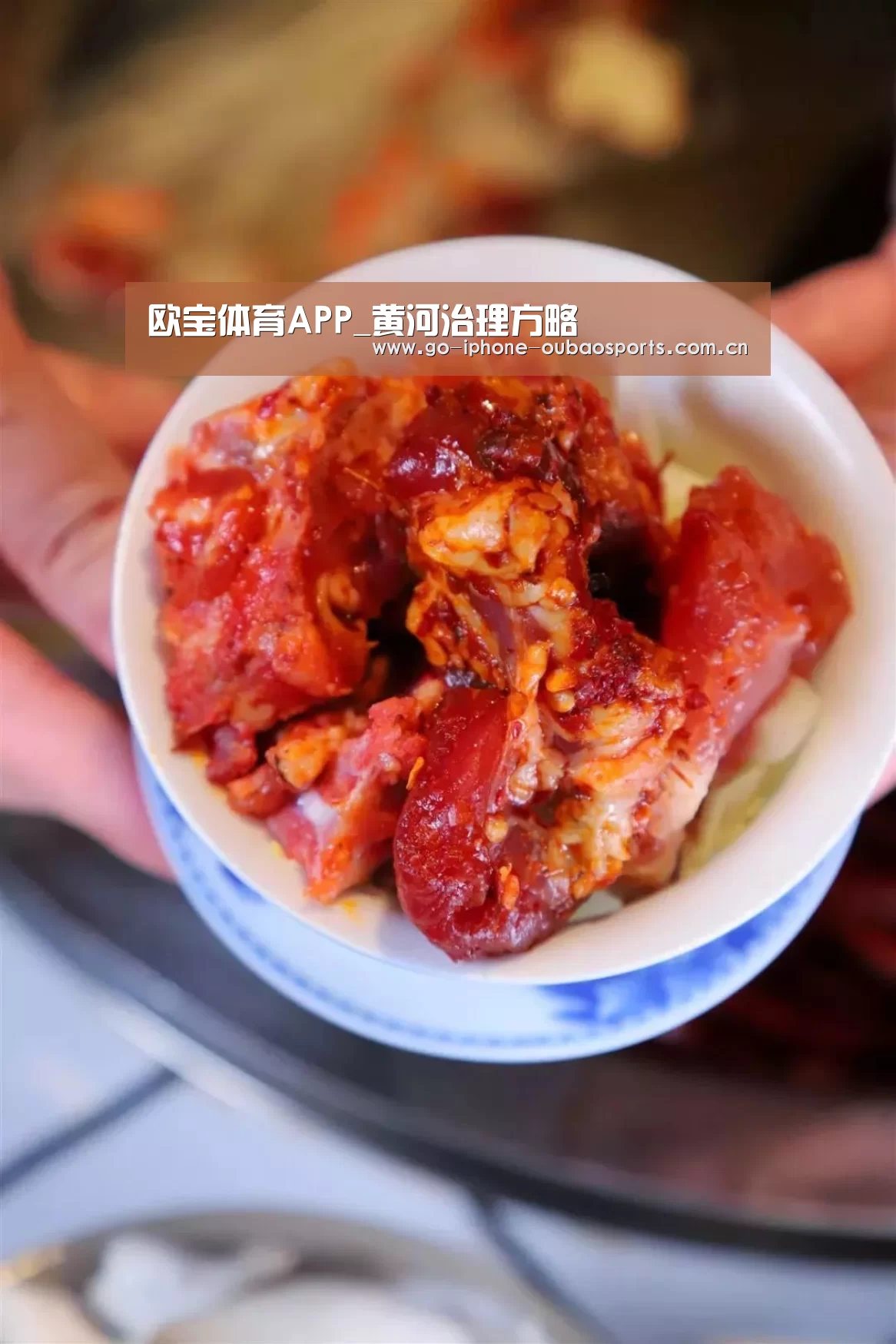 iOS下载