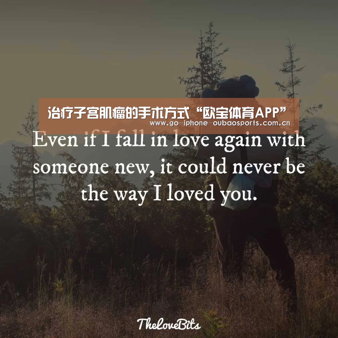 治疗子宫肌瘤的手术方式“欧宝体育APP”(图1) 欧宝体育APP